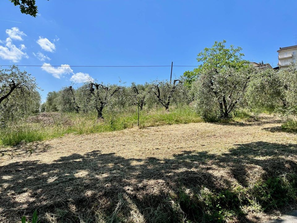 Helårsgrund i Monte San Pietrangeli, Fermo - foto 2