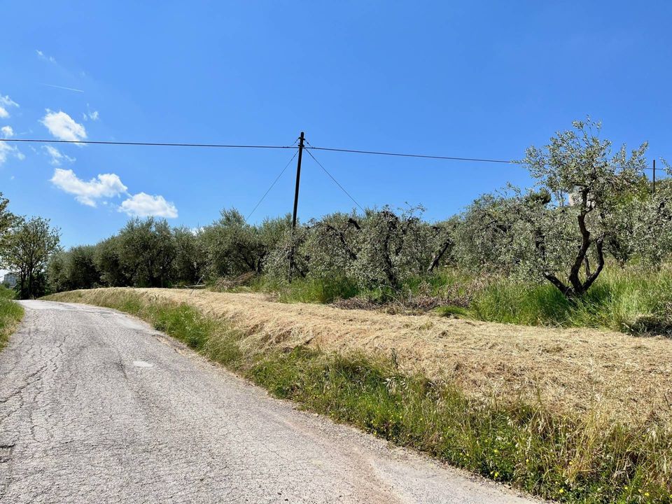 Helårsgrund i Monte San Pietrangeli, Fermo - foto 4