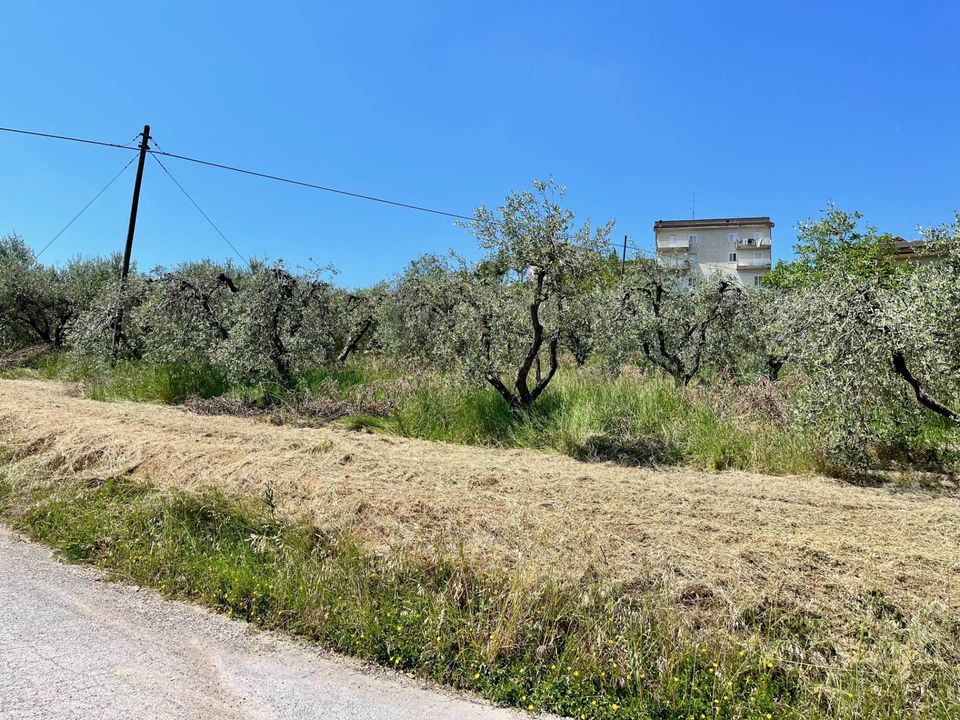 Helårsgrund i Monte San Pietrangeli, Fermo - foto 5