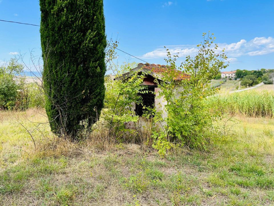 Herregård i Ostra, Ancona - bilde 4