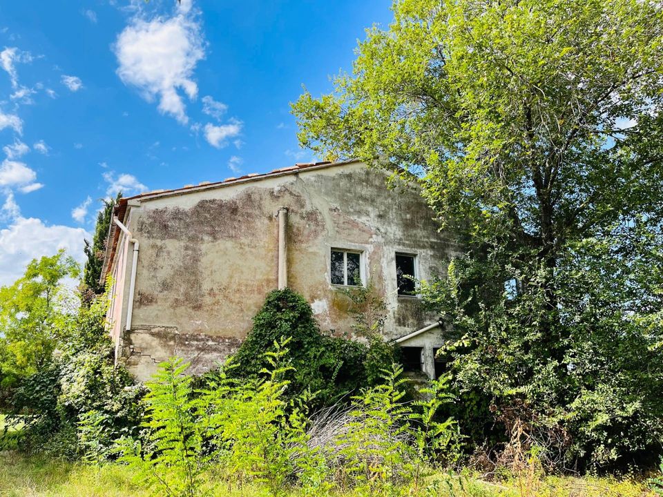 Herregård i Ostra, Ancona - bilde 5