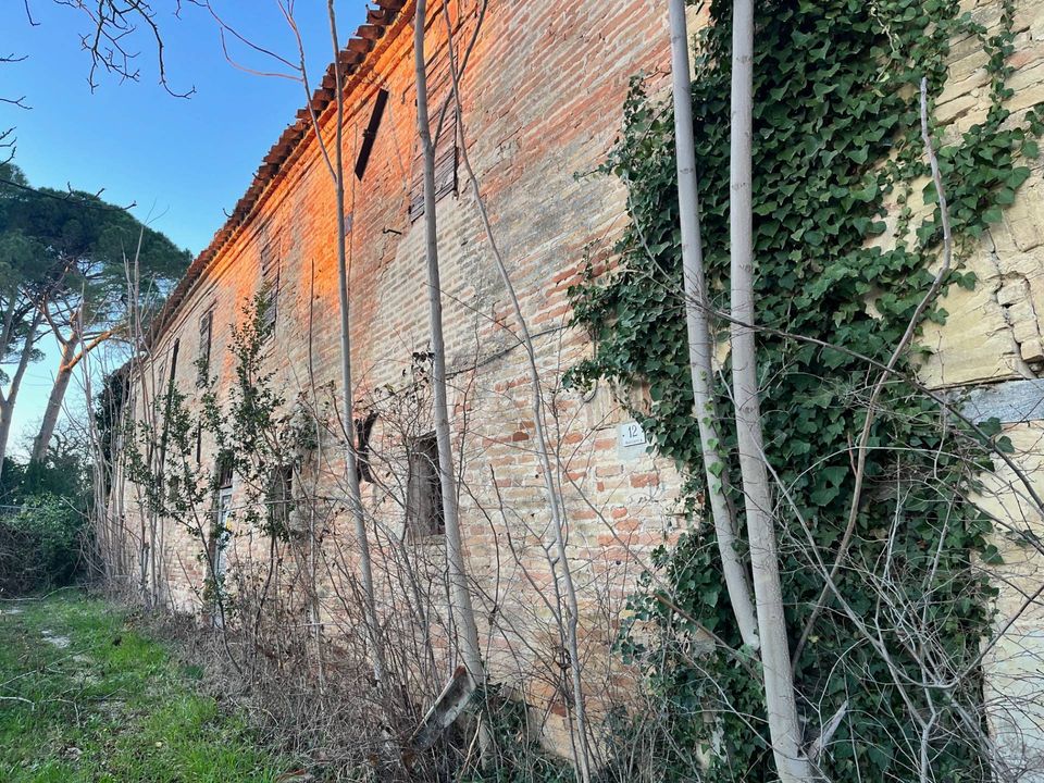 Landejendom i Monte San Vito, Ancona - foto 2