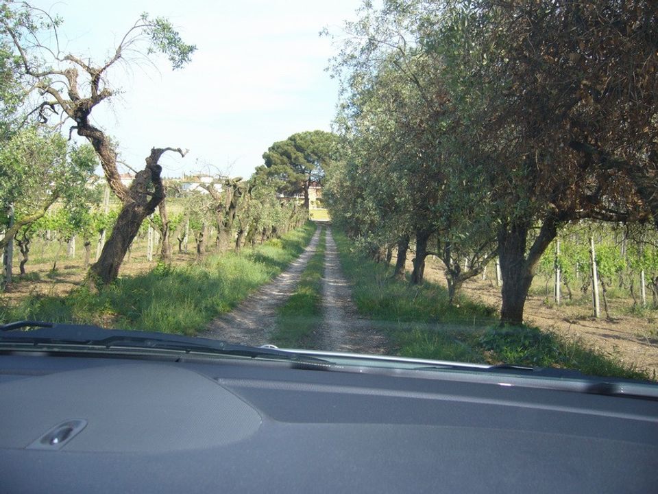 Terreno en Monteprandone, Ascoli Piceno - foto 3
