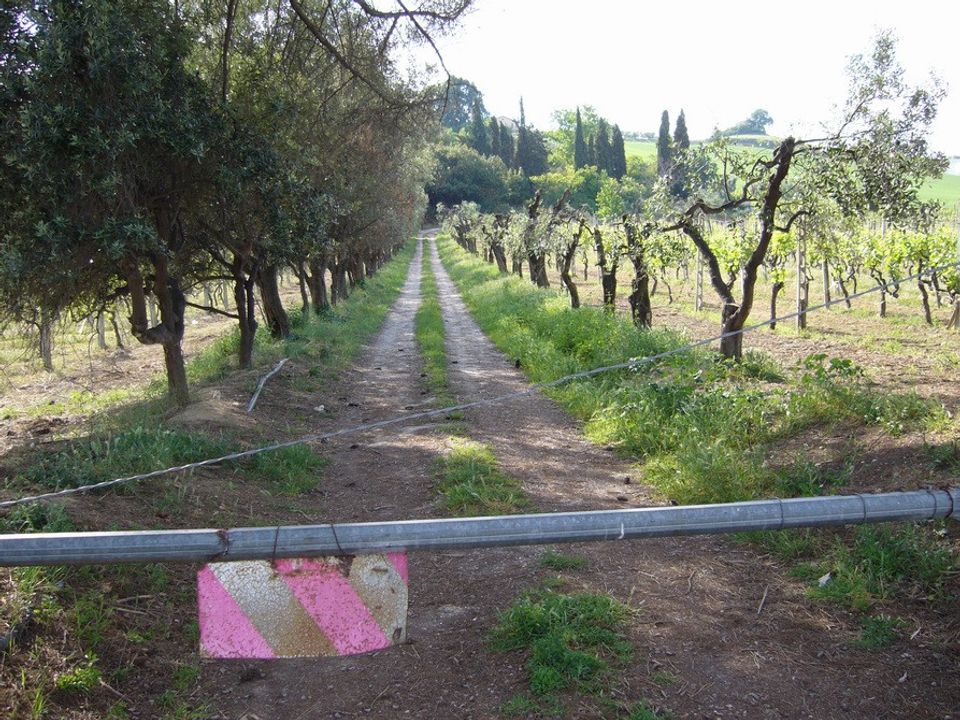 Terreno en Monteprandone, Ascoli Piceno - foto 4