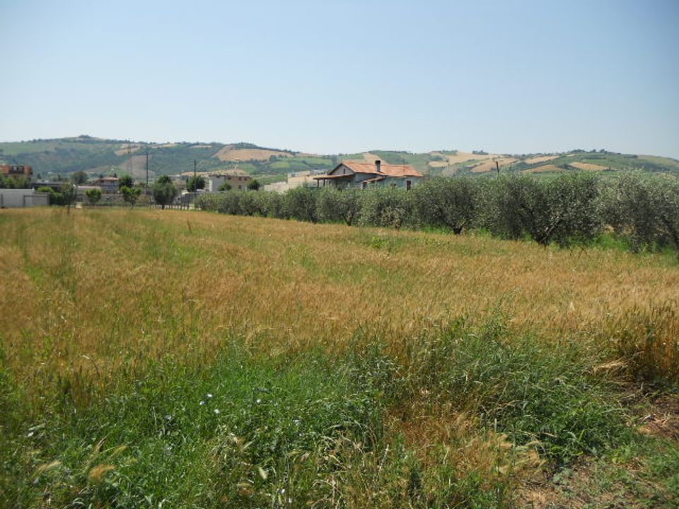 Helårsgrund i Spinetoli, Ascoli Piceno - foto 4