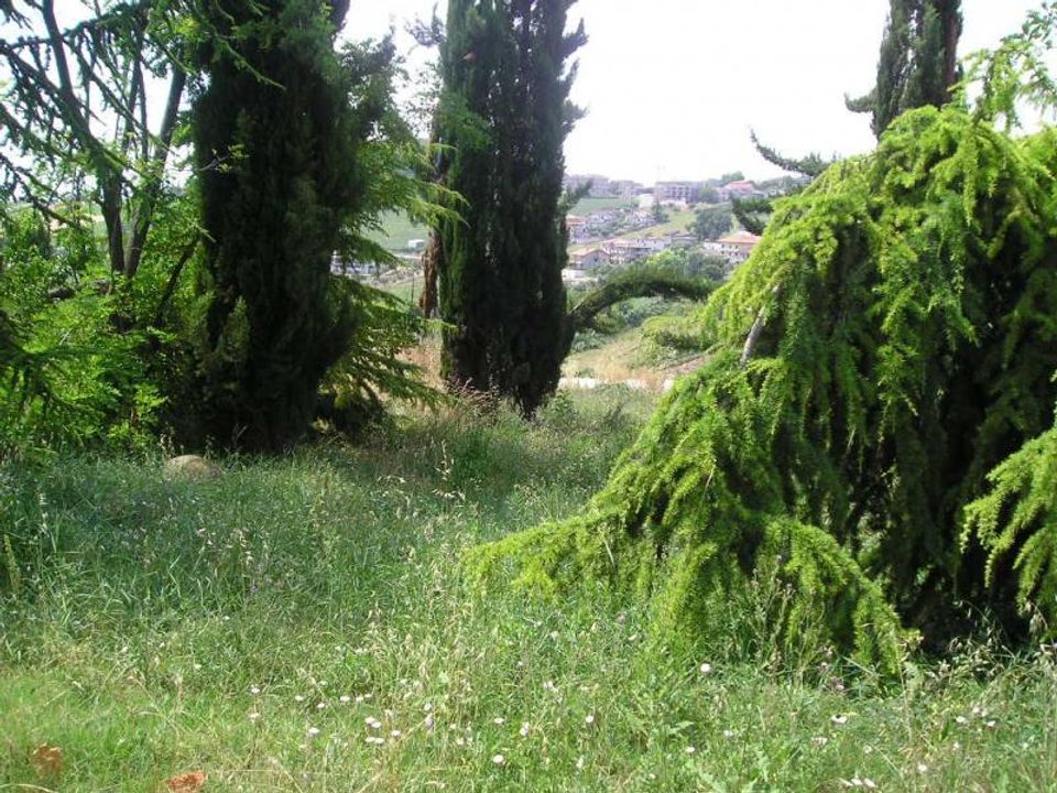 Helårsgrund i Colonnella, Teramo - foto 5