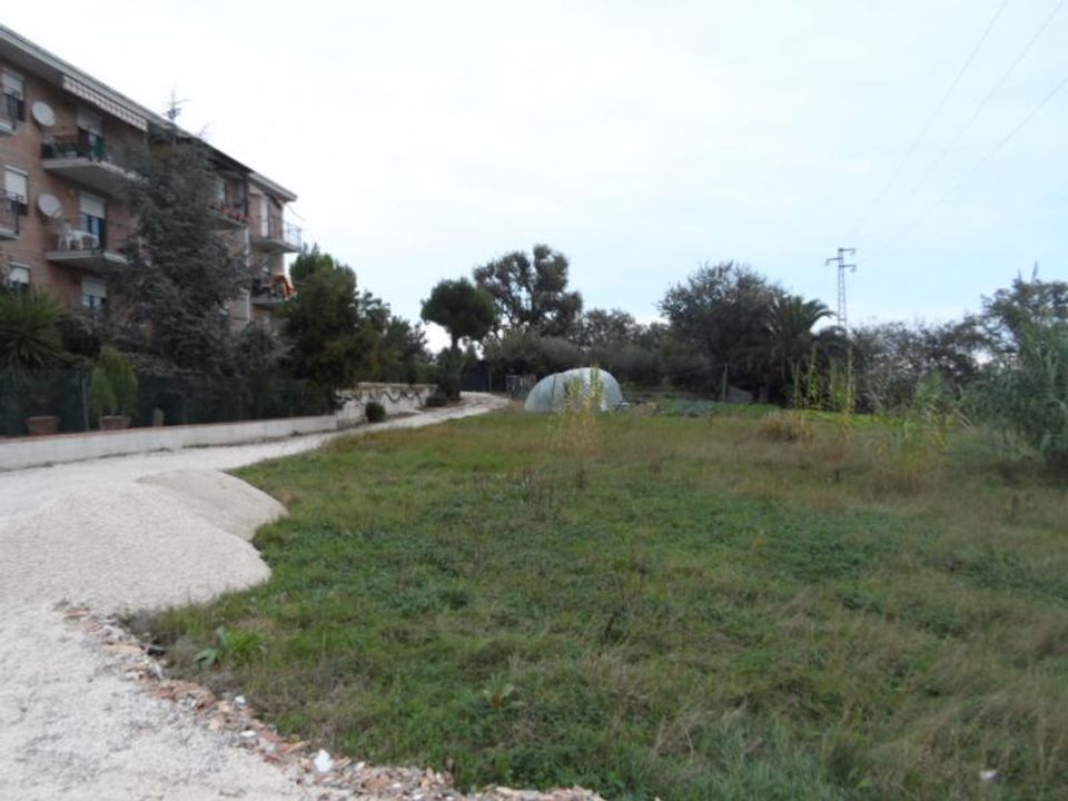 Tomt i Grottammare, Ascoli Piceno - bilde 3