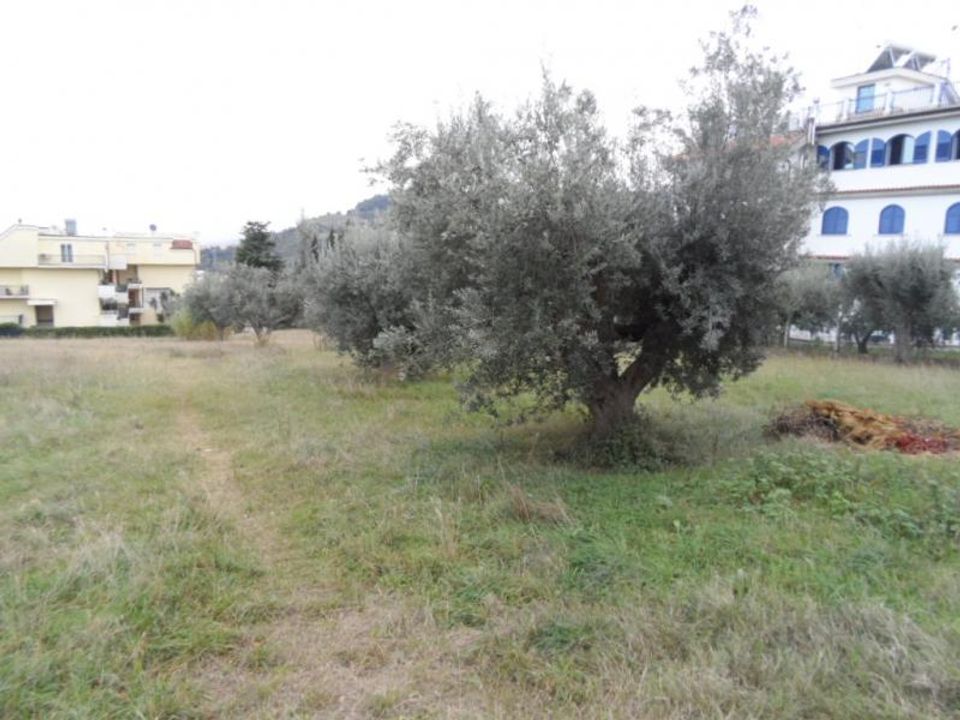 Tomt i Grottammare, Ascoli Piceno - bilde 4