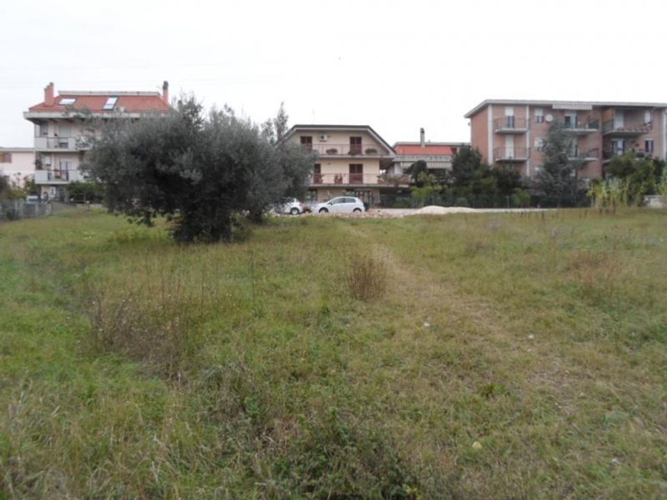Tomt i Grottammare, Ascoli Piceno - bilde 5