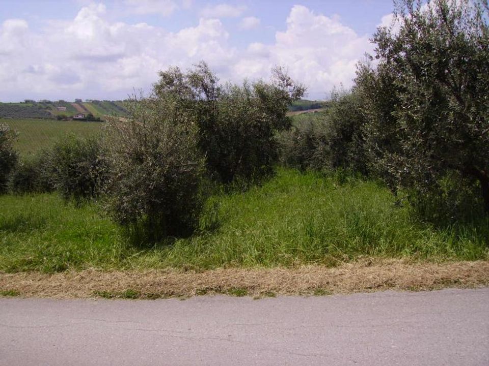 Landejendom i Colonnella, Teramo - foto 3