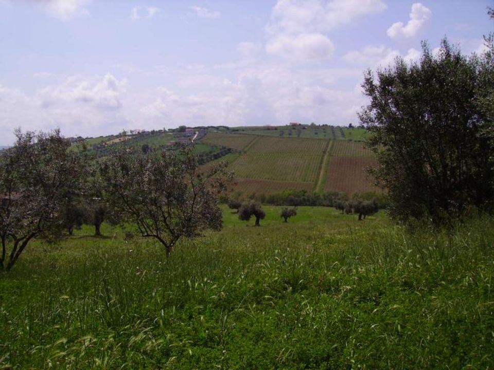 Landejendom i Colonnella, Teramo - foto 4