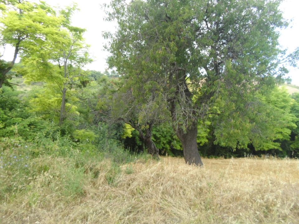 Helårsgrund i San Benedetto Del Tronto, Ascoli Piceno - foto 1