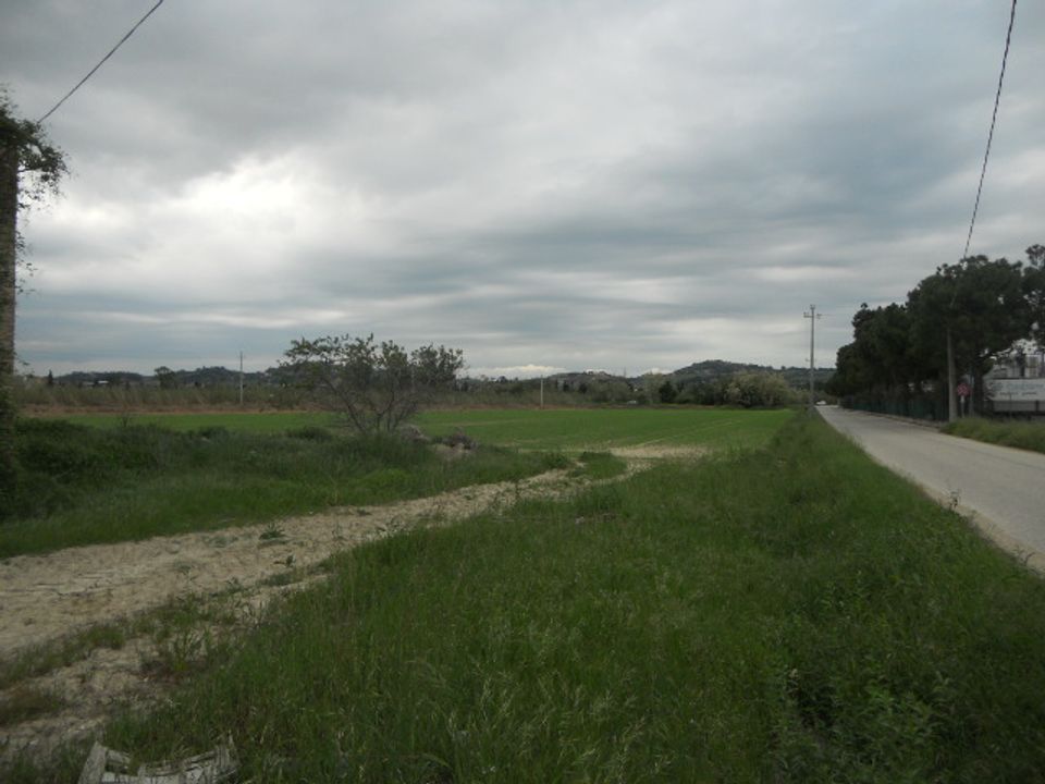 Landejendom i Controguerra, Teramo - foto 3