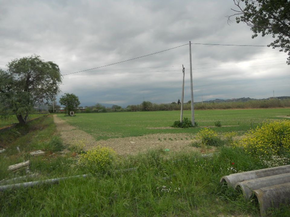 Landejendom i Controguerra, Teramo - foto 4