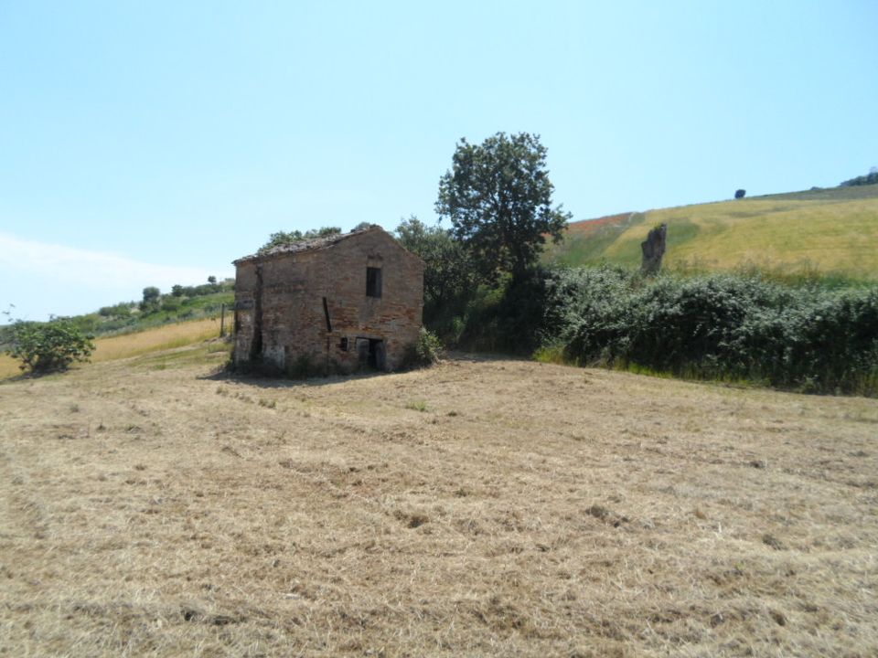 Landejendom i Acquaviva Picena, Ascoli Piceno - foto 2