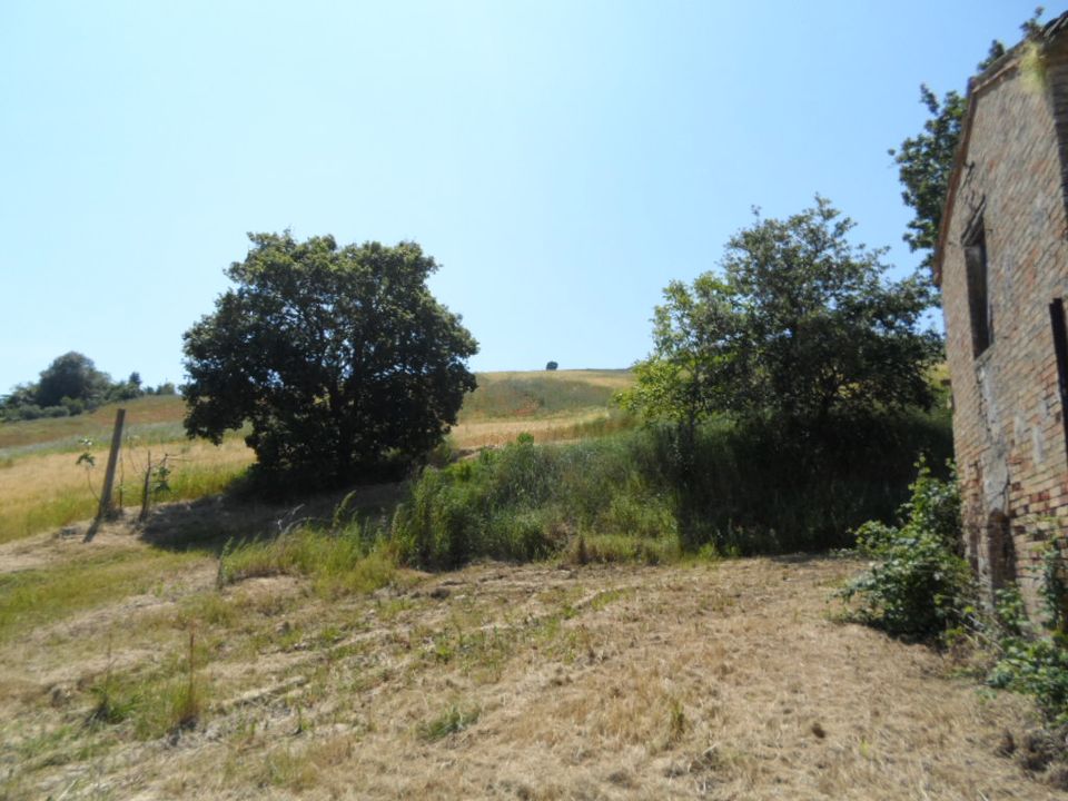 Landejendom i Acquaviva Picena, Ascoli Piceno - foto 4