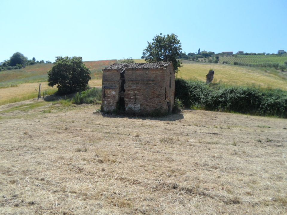 Landejendom i Acquaviva Picena, Ascoli Piceno - foto 5