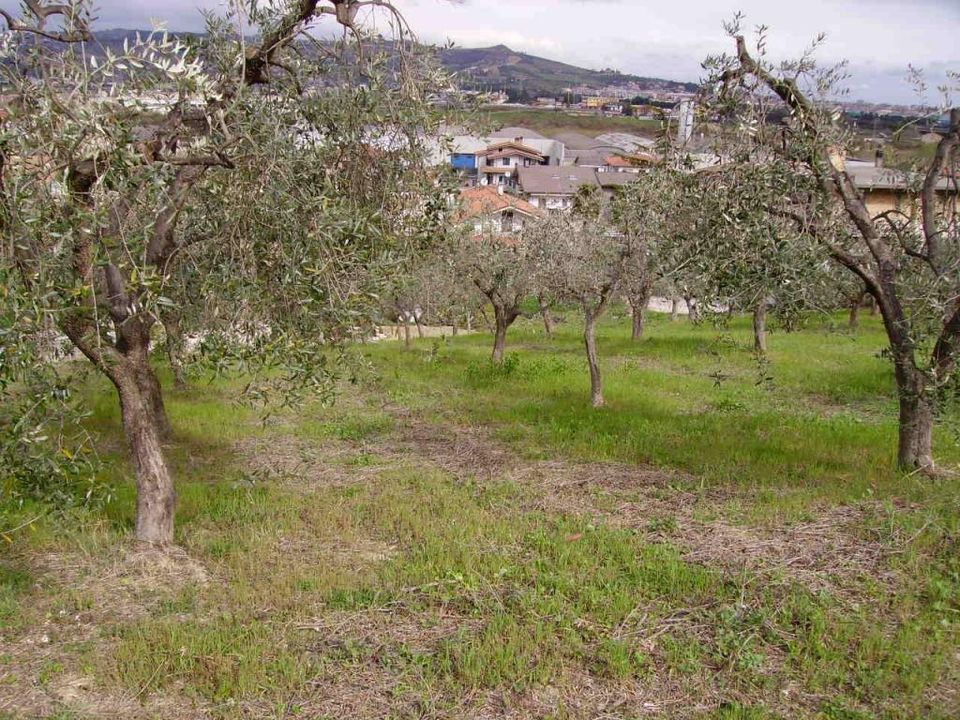Działka: Colonnella, Teramo – zdjęcie 1