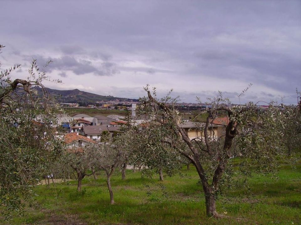 Działka: Colonnella, Teramo – zdjęcie 4