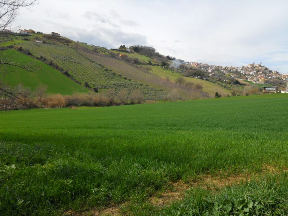 Landejendom i Colonnella, Teramo - foto 3