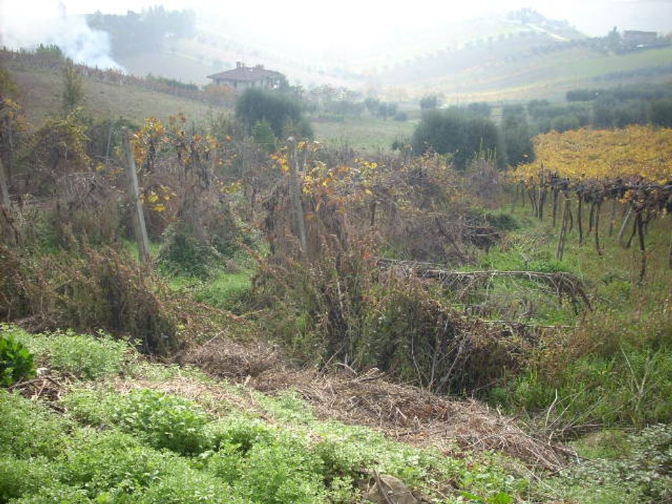 Landejendom i Monteprandone, Ascoli Piceno - foto 4