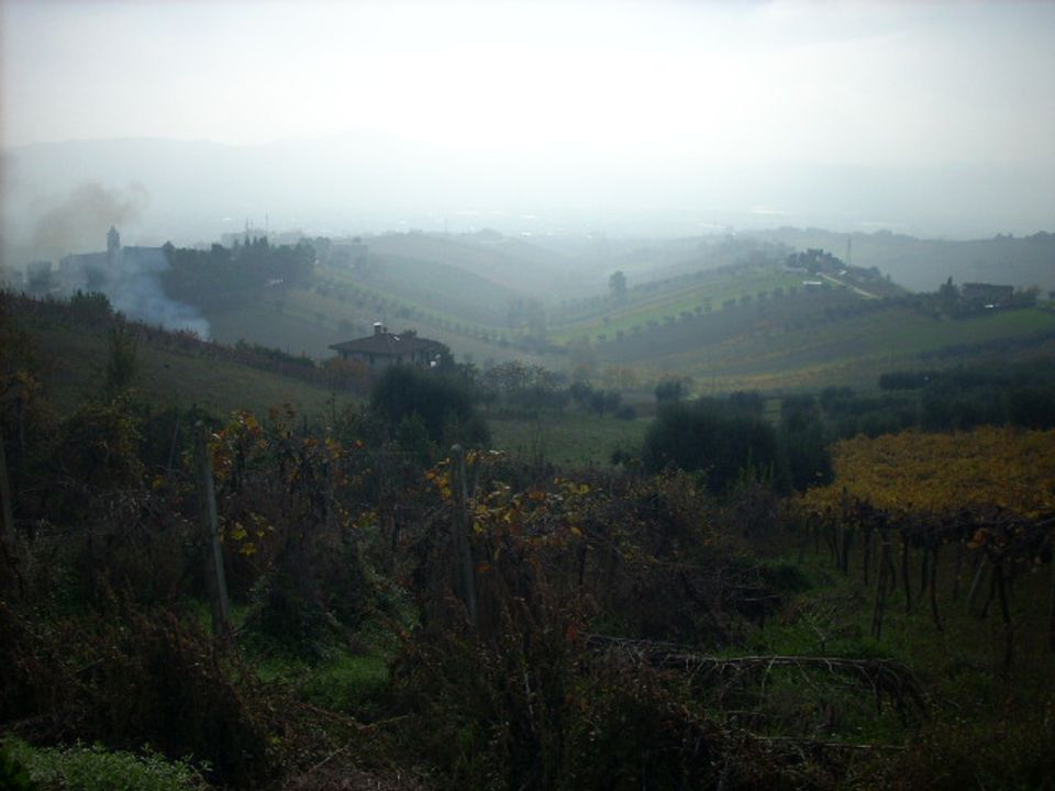 Landejendom i Monteprandone, Ascoli Piceno - foto 5