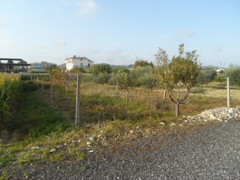 Helårsgrund i Monteprandone, Ascoli Piceno - foto 4
