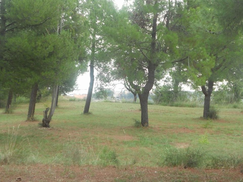 Helårsgrund i Massignano, Ascoli Piceno - foto 2