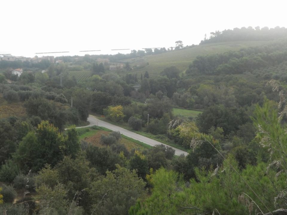 Helårsgrund i Massignano, Ascoli Piceno - foto 1