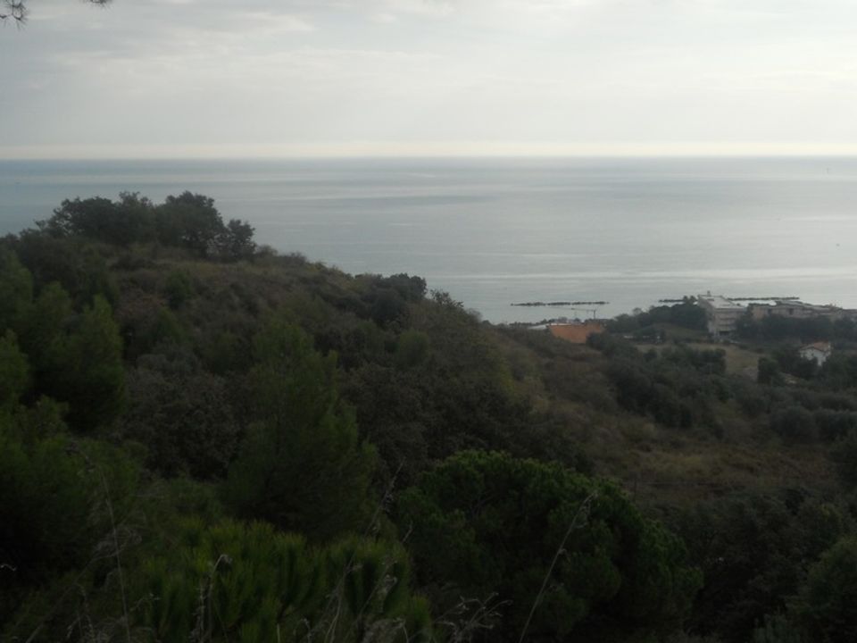 Helårsgrund i Massignano, Ascoli Piceno - foto 5