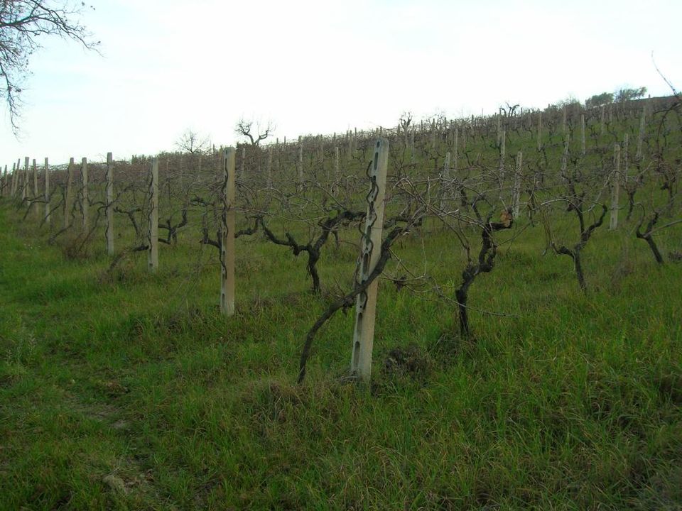 Villa i Ripatransone, Ascoli Piceno - foto 5
