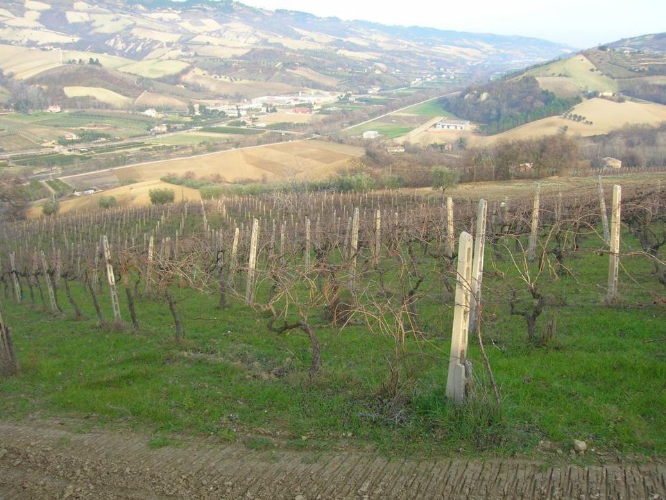 Villa i Ripatransone, Ascoli Piceno - foto 4