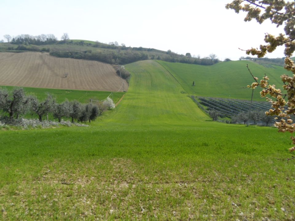Tomt i Acquaviva Picena, Ascoli Piceno - bilde 1