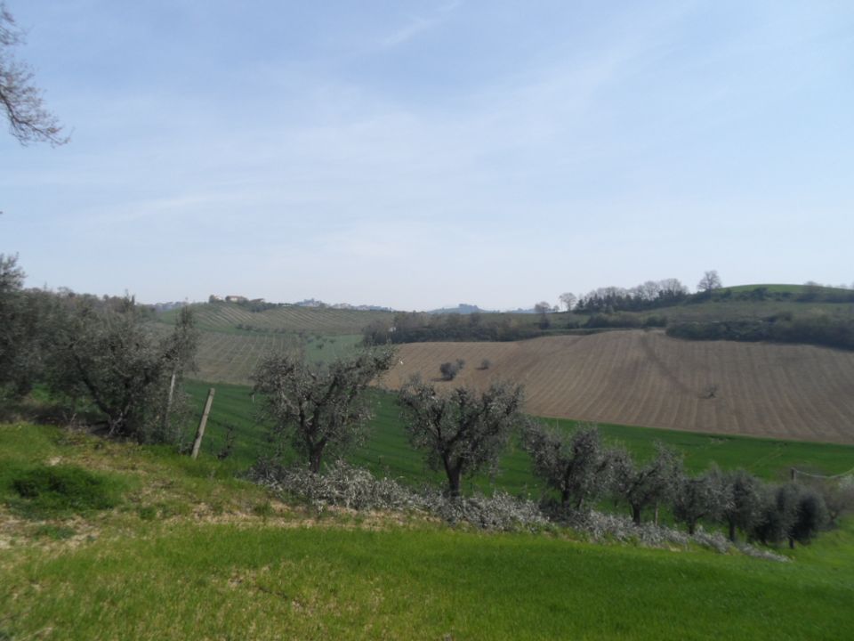 Tomt i Acquaviva Picena, Ascoli Piceno - bilde 2