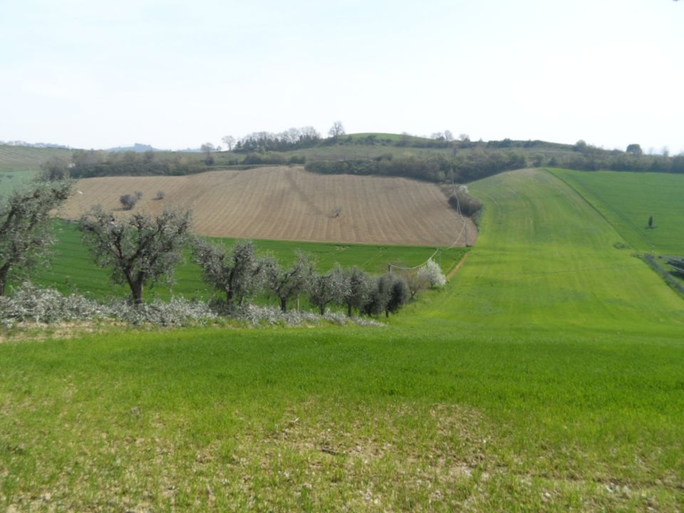 Tomt i Acquaviva Picena, Ascoli Piceno - bilde 4
