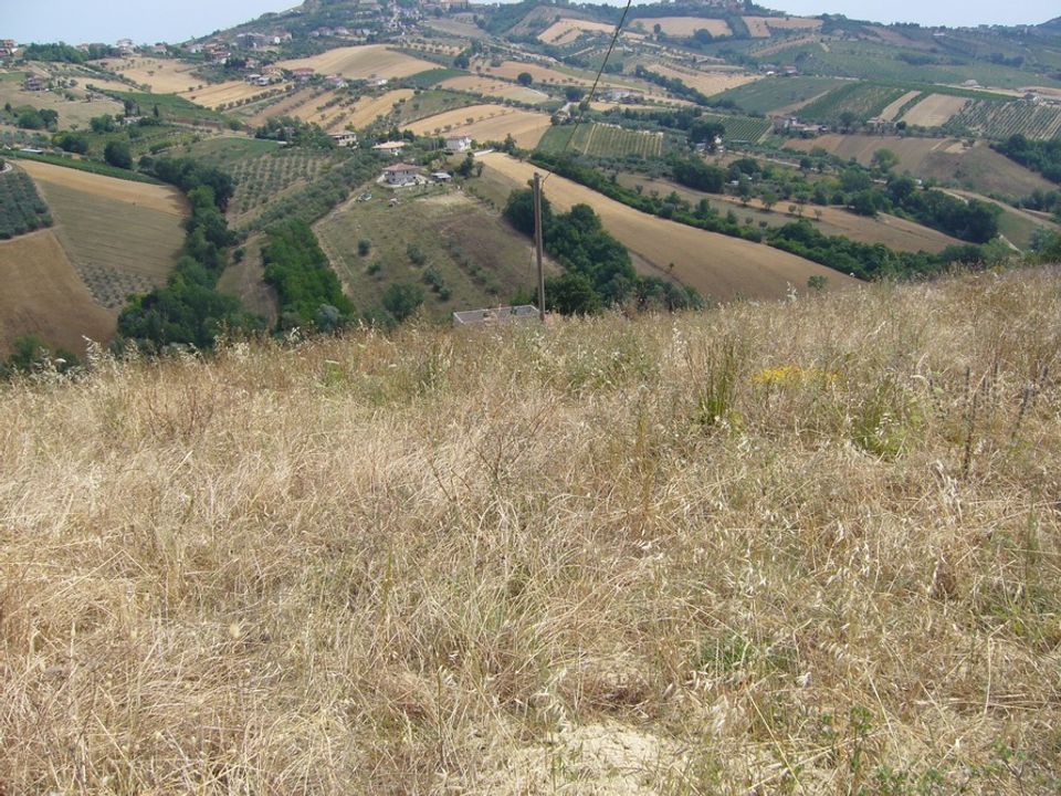 Landejendom i Controguerra, Teramo - foto 3