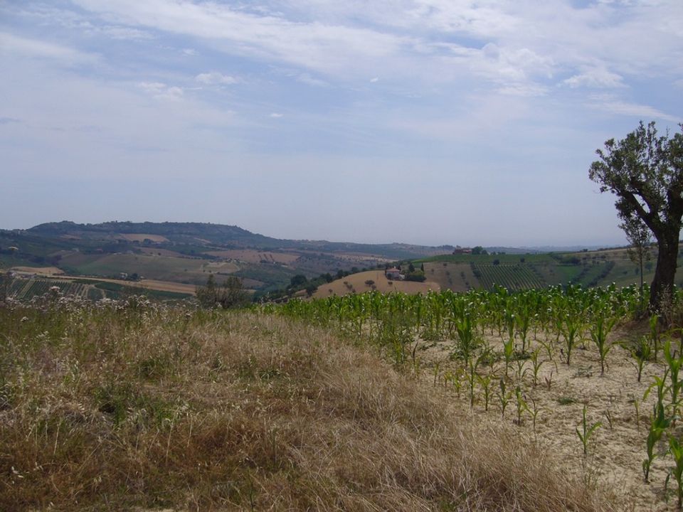 Landejendom i Controguerra, Teramo - foto 4