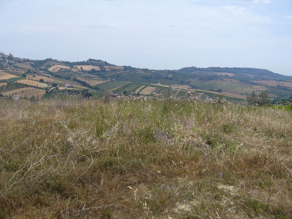 Landejendom i Controguerra, Teramo - foto 5
