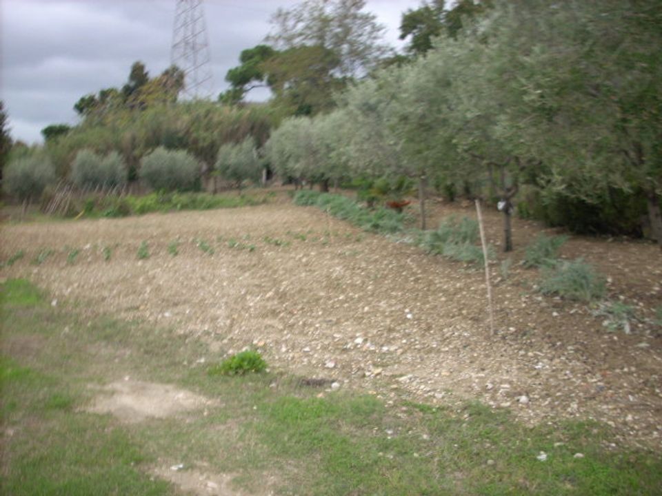 Helårsgrund i San Benedetto Del Tronto, Ascoli Piceno - foto 3