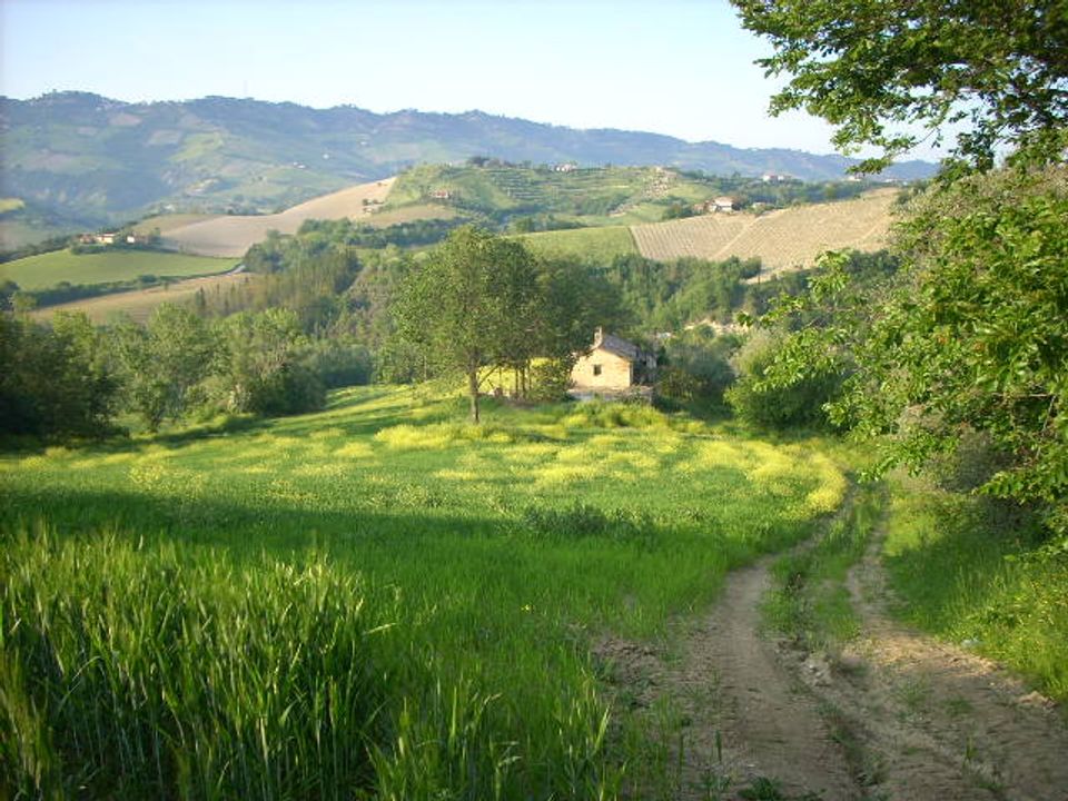 Landejendom i Ripatransone, Ascoli Piceno - foto 1