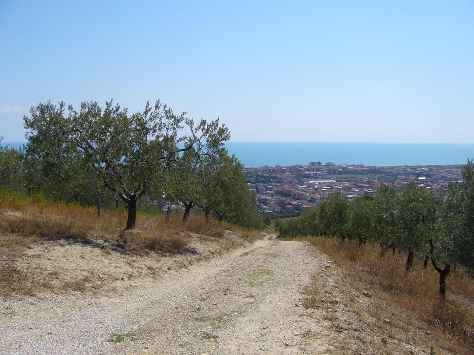 Terreno en San Benedetto Del Tronto, Ascoli Piceno - foto 5