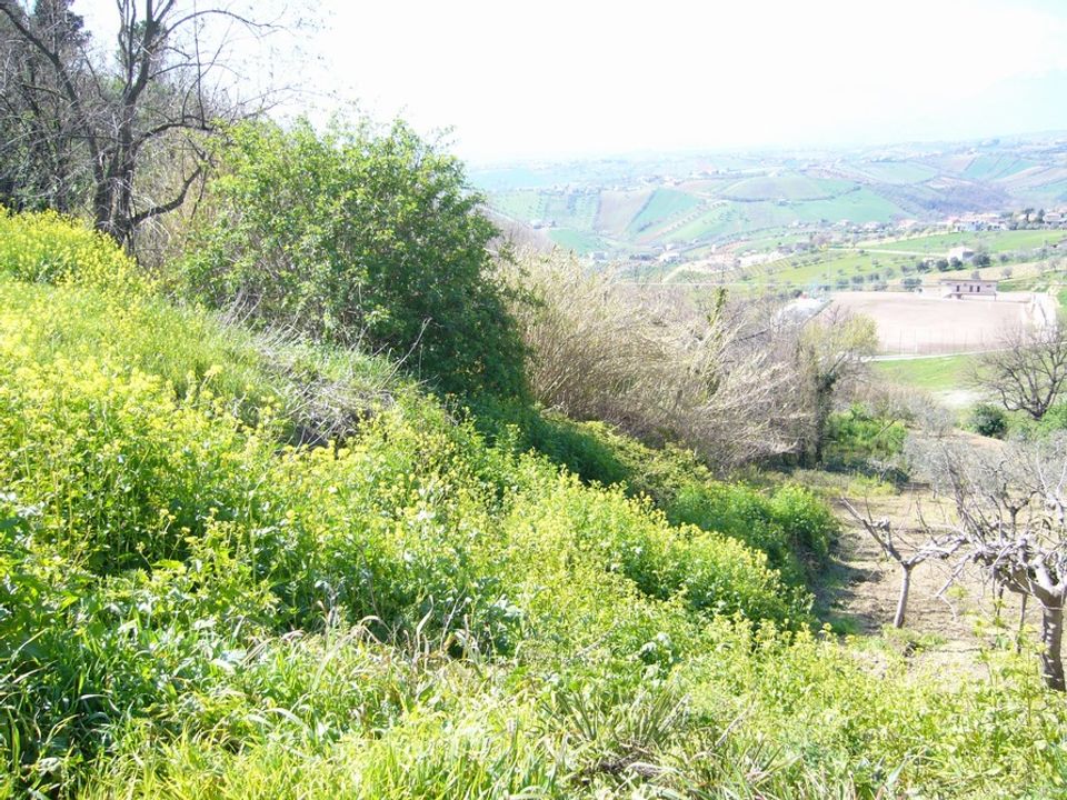 Tomt i Colonnella, Teramo - bilde 4