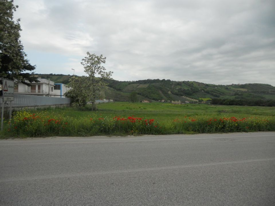 Helårsgrund i Controguerra, Teramo - foto 1