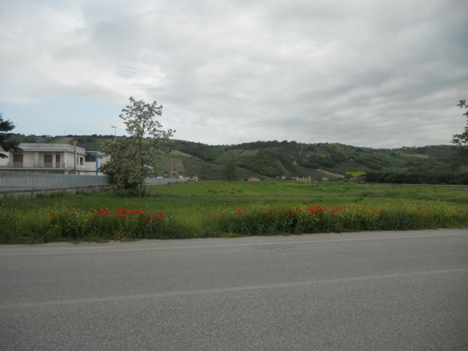 Helårsgrund i Controguerra, Teramo - foto 2