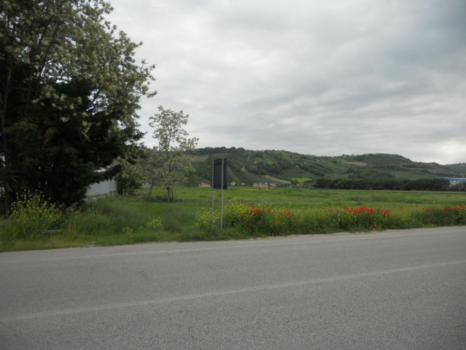 Helårsgrund i Controguerra, Teramo - foto 3