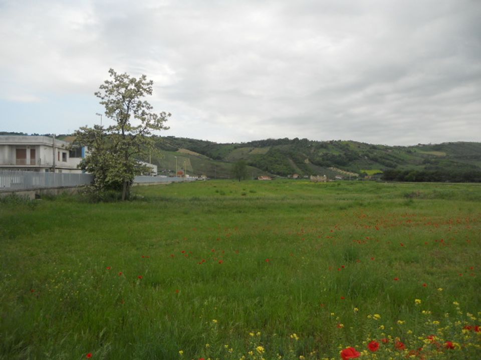 Helårsgrund i Controguerra, Teramo - foto 5