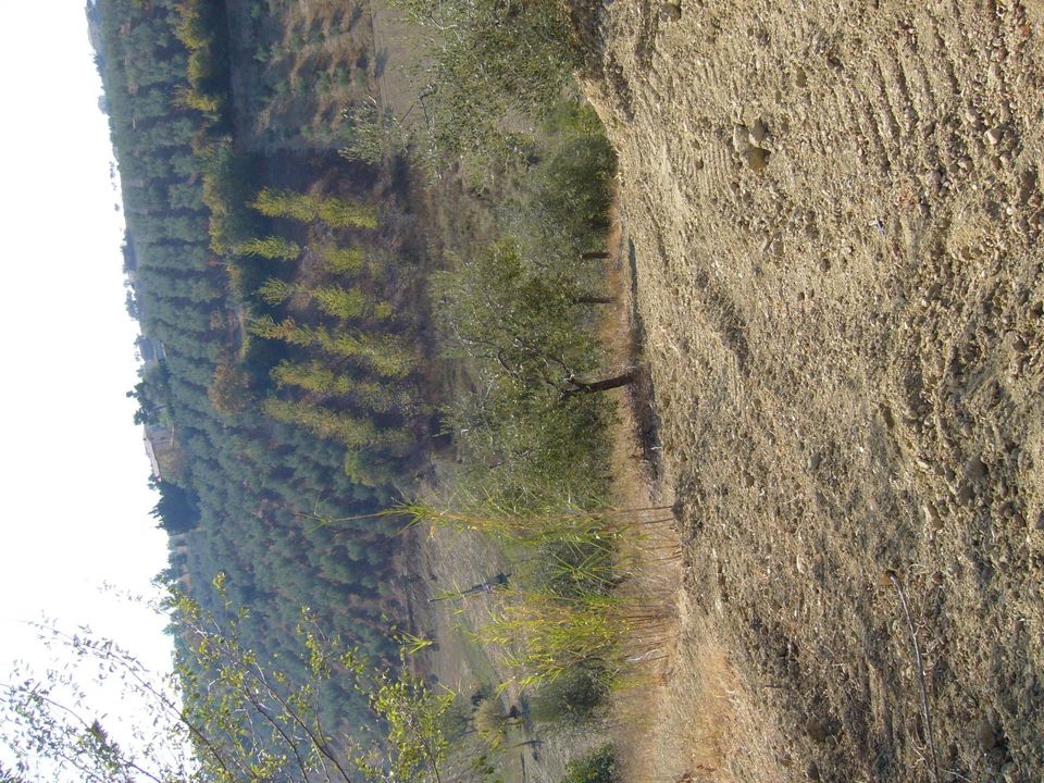 Helårsgrund i Tortoreto, Teramo - foto 2