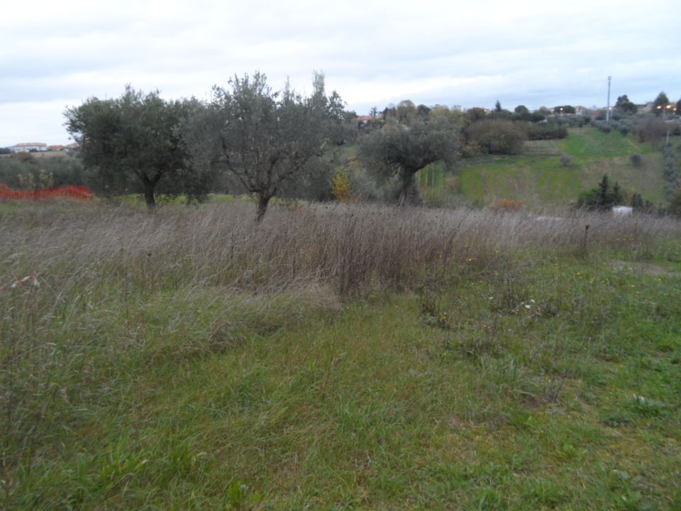 Helårsgrund i Castel Di Lama, Ascoli Piceno - foto 1