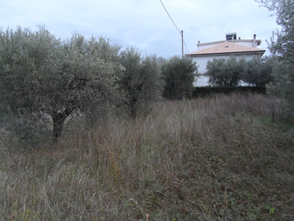 Helårsgrund i Castel Di Lama, Ascoli Piceno - foto 2