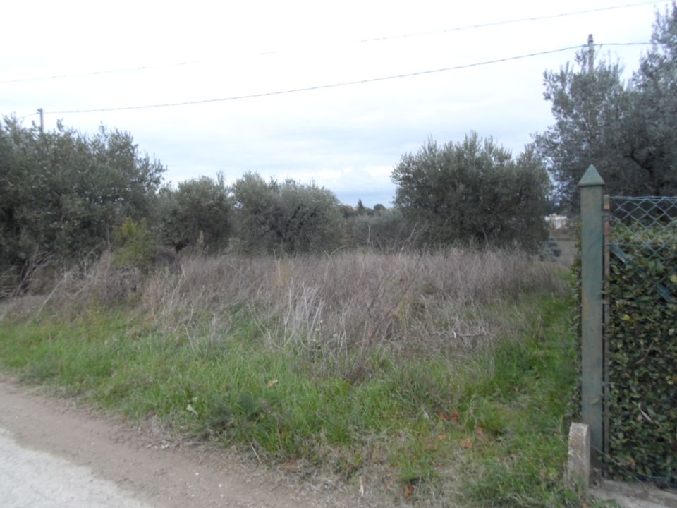 Helårsgrund i Castel Di Lama, Ascoli Piceno - foto 3